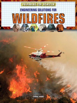 cover image of Engineering Solutions for Wildfires